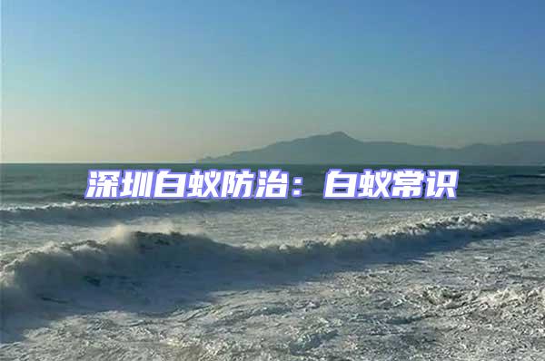 深圳白蟻防治：白蟻常識