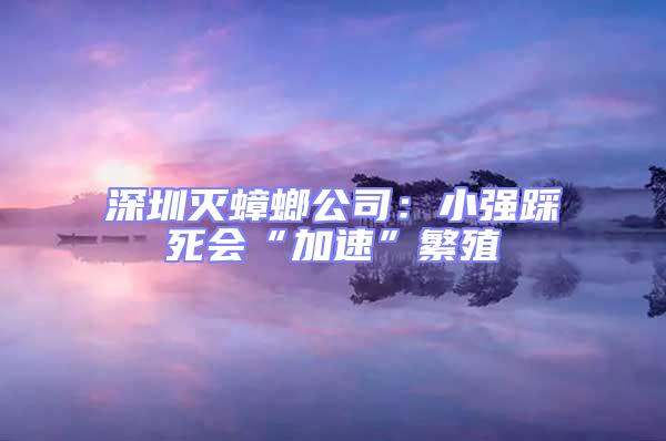 深圳滅蟑螂公司：小強踩死會“加速”繁殖