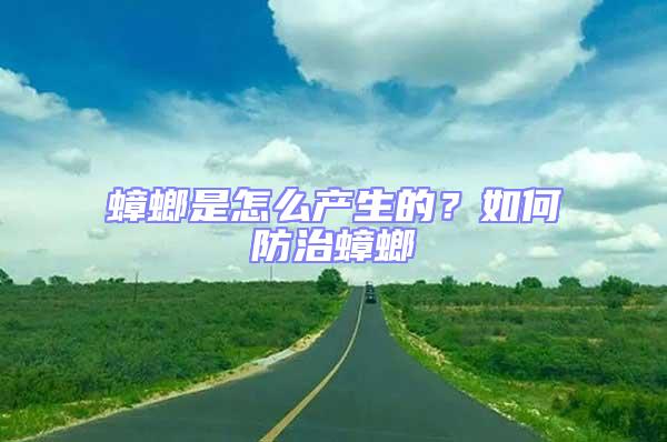 蟑螂是怎么產生的？如何防治蟑螂