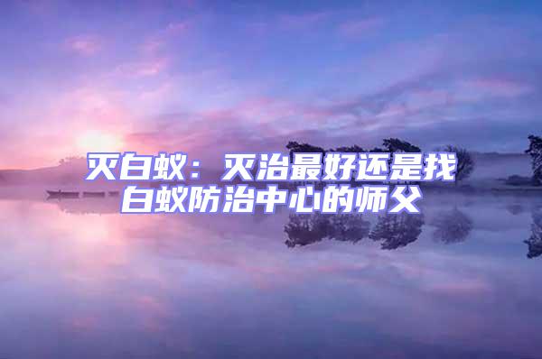 滅白蟻：滅治最好還是找白蟻防治中心的師父