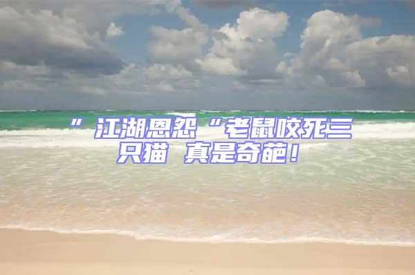 ”江湖恩怨“老鼠咬死三只貓 真是奇葩！