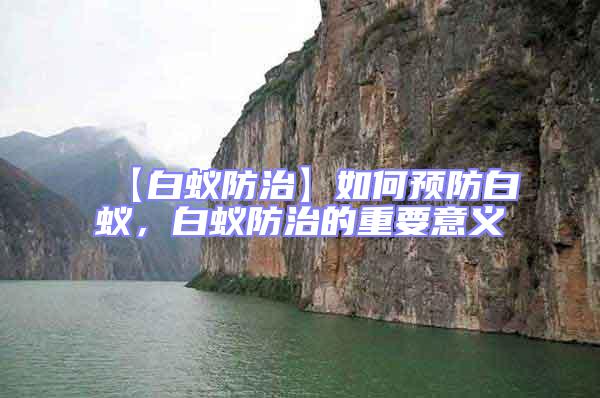 【白蟻防治】如何預防白蟻，白蟻防治的重要意義