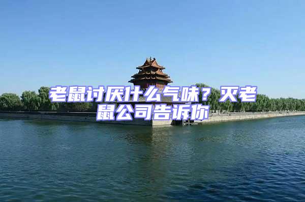 老鼠討厭什么氣味？滅老鼠公司告訴你