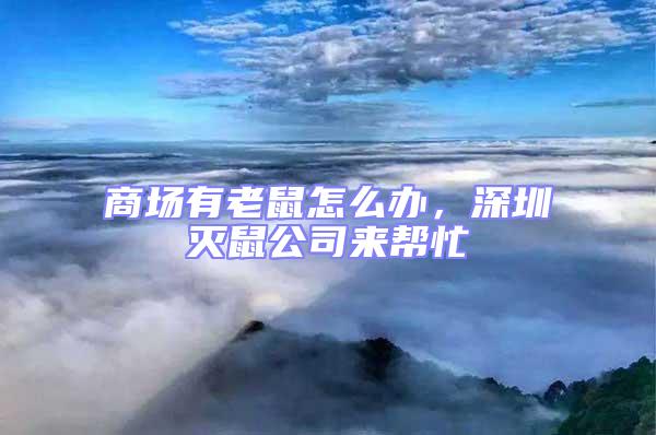 商場有老鼠怎么辦，深圳滅鼠公司來幫忙