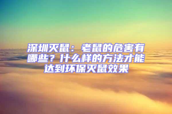 深圳滅鼠：老鼠的危害有哪些？什么樣的方法才能達到環保滅鼠效果