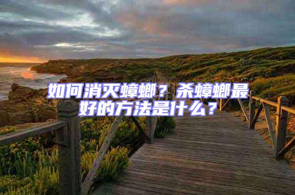 如何消滅蟑螂？殺蟑螂最好的方法是什么？