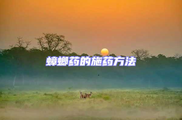 蟑螂藥的施藥方法
