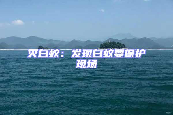 滅白蟻：發(fā)現(xiàn)白蟻要保護(hù)現(xiàn)場(chǎng)