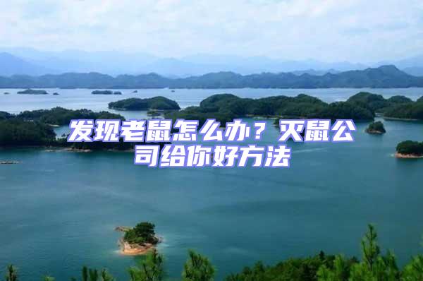 發現老鼠怎么辦？滅鼠公司給你好方法