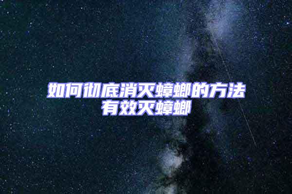 如何徹底消滅蟑螂的方法有效滅蟑螂