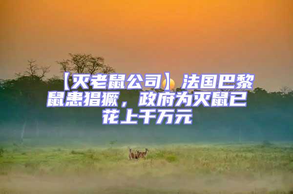 【滅老鼠公司】法國(guó)巴黎鼠患猖獗，政府為滅鼠已花上千萬元