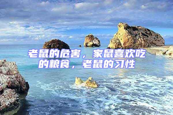 老鼠的危害，家鼠喜歡吃的糧食，老鼠的習性