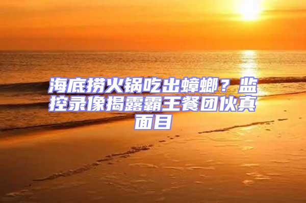 海底撈火鍋吃出蟑螂？監控錄像揭露霸王餐團伙真面目