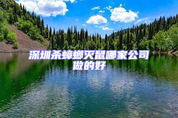 深圳殺蟑螂滅鼠哪家公司做的好