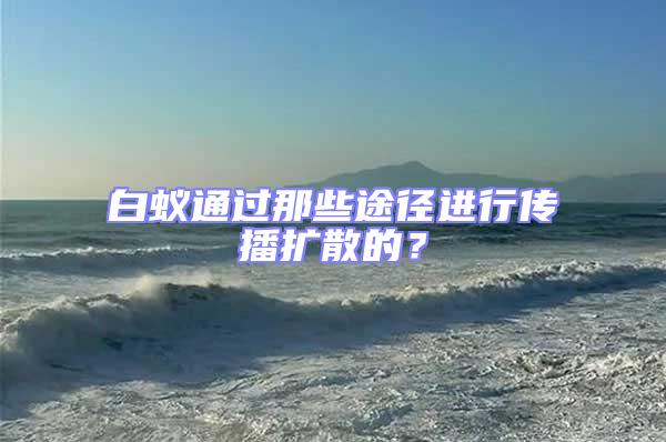 白蟻通過那些途徑進行傳播擴散的？