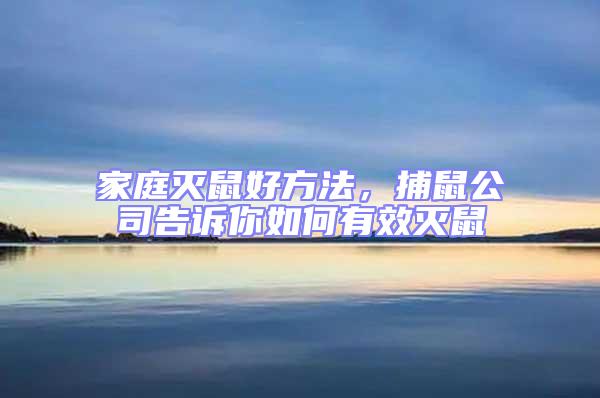 家庭滅鼠好方法，捕鼠公司告訴你如何有效滅鼠