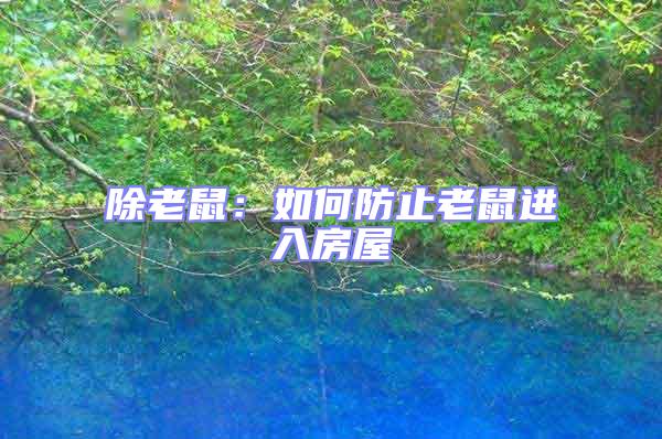 除老鼠：如何防止老鼠進(jìn)入房屋