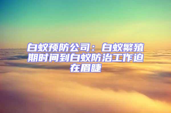 白蟻預防公司：白蟻繁殖期時間到白蟻防治工作迫在眉睫