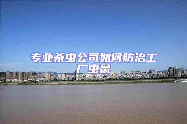 專(zhuān)業(yè)殺蟲(chóng)公司如何防治工廠蟲(chóng)鼠