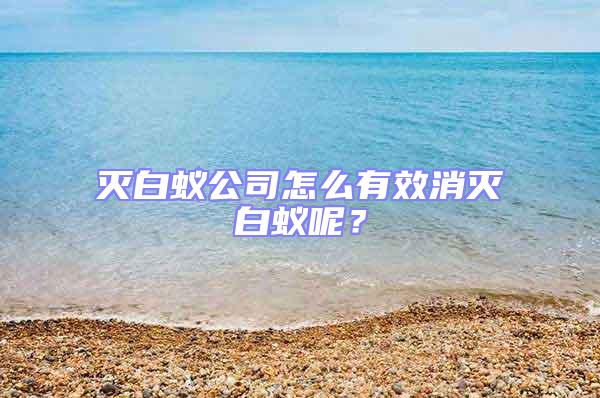 滅白蟻公司怎么有效消滅白蟻呢？