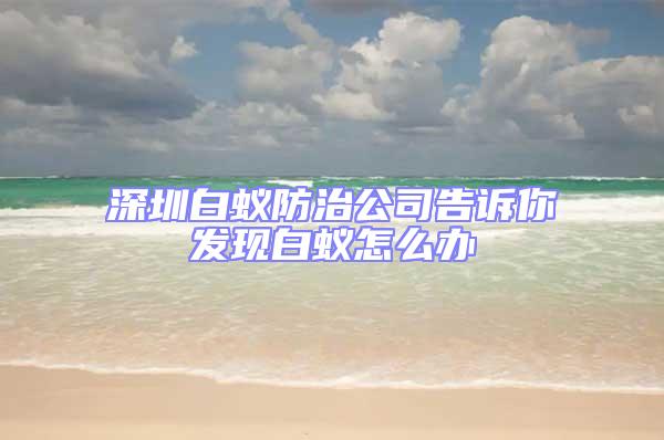 深圳白蟻防治公司告訴你發現白蟻怎么辦
