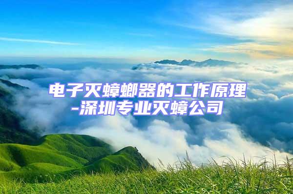 電子滅蟑螂器的工作原理-深圳專業(yè)滅蟑公司