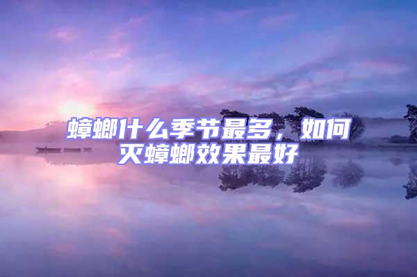 蟑螂什么季節最多，如何滅蟑螂效果最好
