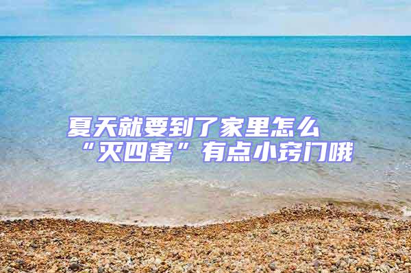 夏天就要到了家里怎么“滅四害”有點(diǎn)小竅門哦