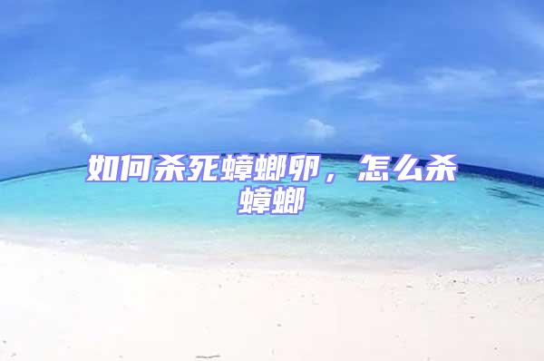 如何殺死蟑螂卵，怎么殺蟑螂