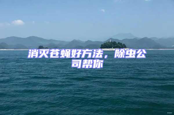 消滅蒼蠅好方法，除蟲公司幫你