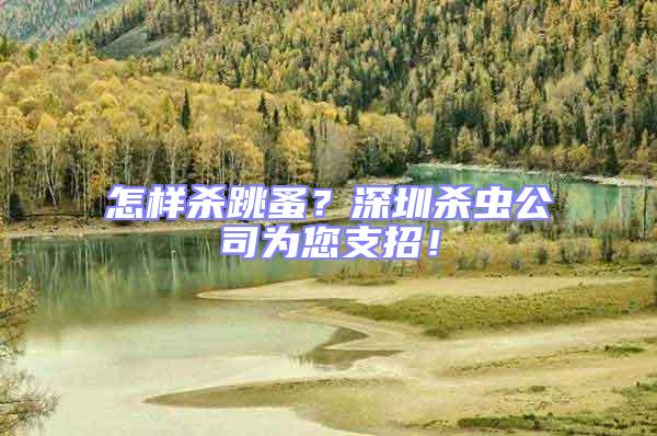 怎樣殺跳蚤？深圳殺蟲公司為您支招！