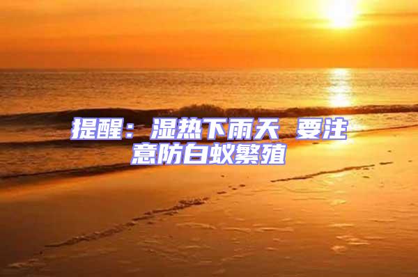 提醒：濕熱下雨天 要注意防白蟻繁殖