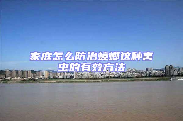 家庭怎么防治蟑螂這種害蟲(chóng)的有效方法