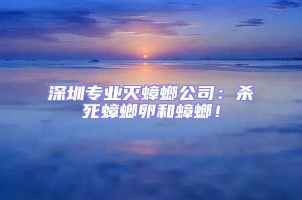 深圳專(zhuān)業(yè)滅蟑螂公司：殺死蟑螂卵和蟑螂！