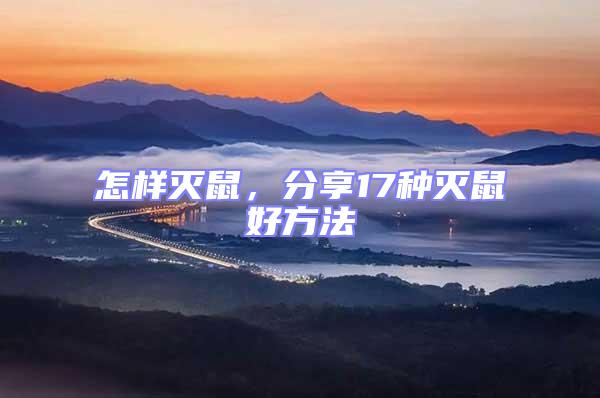 怎樣滅鼠，分享17種滅鼠好方法