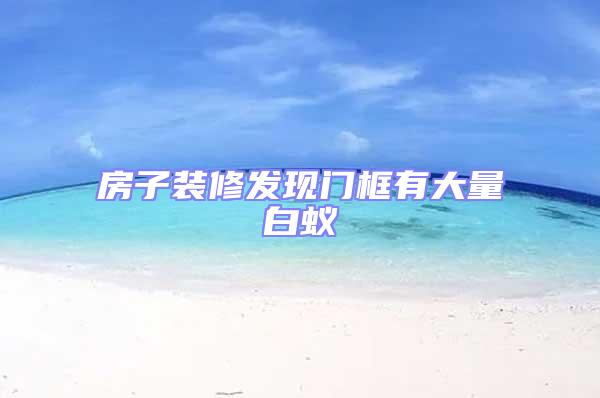 房子裝修發現門框有大量白蟻