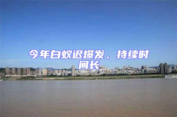 今年白蟻遲爆發，持續時間長