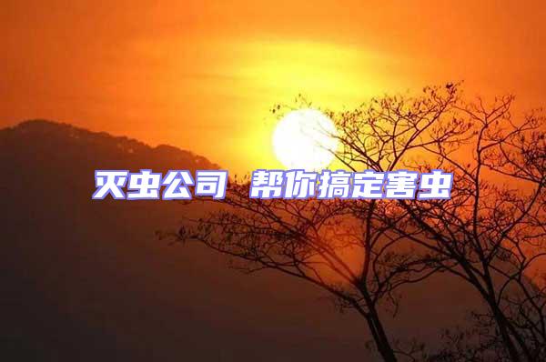 滅蟲(chóng)公司 幫你搞定害蟲(chóng)