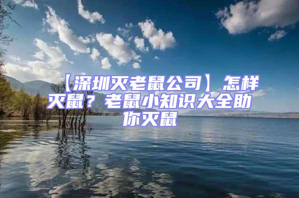 【深圳滅老鼠公司】怎樣滅鼠？老鼠小知識大全助你滅鼠
