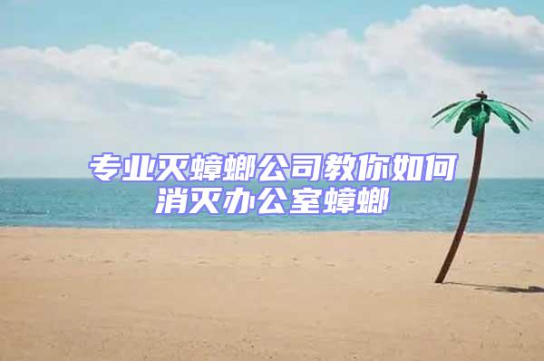 專業滅蟑螂公司教你如何消滅辦公室蟑螂