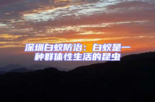 深圳白蟻防治：白蟻是一種群體性生活的昆蟲