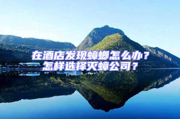 在酒店發現蟑螂怎么辦？怎樣選擇滅蟑公司？