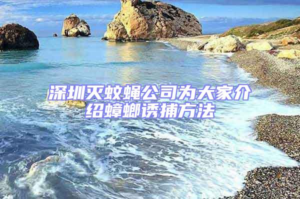 深圳滅蚊蠅公司為大家介紹蟑螂誘捕方法