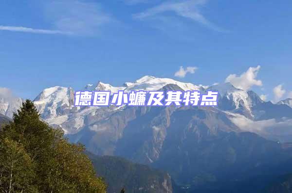 德國小蠊及其特點