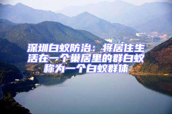 深圳白蟻防治：將居住生活在一個(gè)巢居里的群白蟻稱為一個(gè)白蟻群體