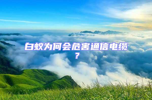 白蟻為何會危害通信電纜？