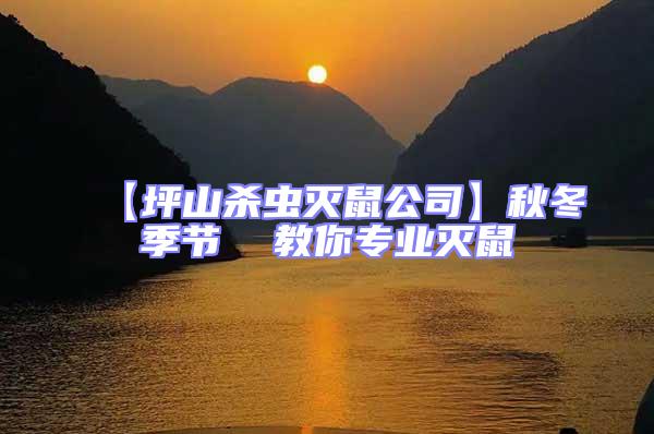 【坪山殺蟲滅鼠公司】秋冬季節(jié)  教你專業(yè)滅鼠