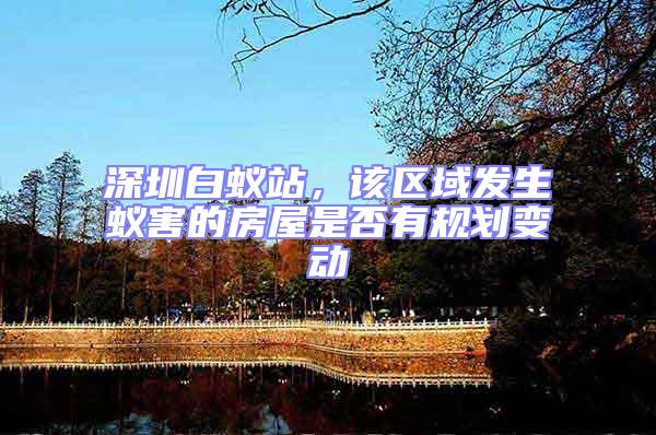 深圳白蟻站，該區域發生蟻害的房屋是否有規劃變動