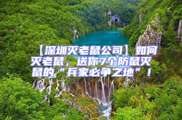 【深圳滅老鼠公司】如何滅老鼠，送你7個防鼠滅鼠的“兵家必爭之地”！