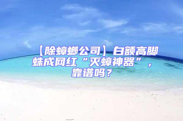 【除蟑螂公司】白額高腳蛛成網(wǎng)紅“滅蟑神器”，靠譜嗎？